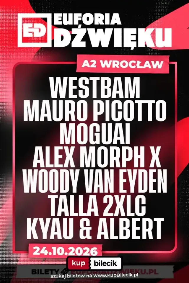 Euforia Dźwięku – koncert