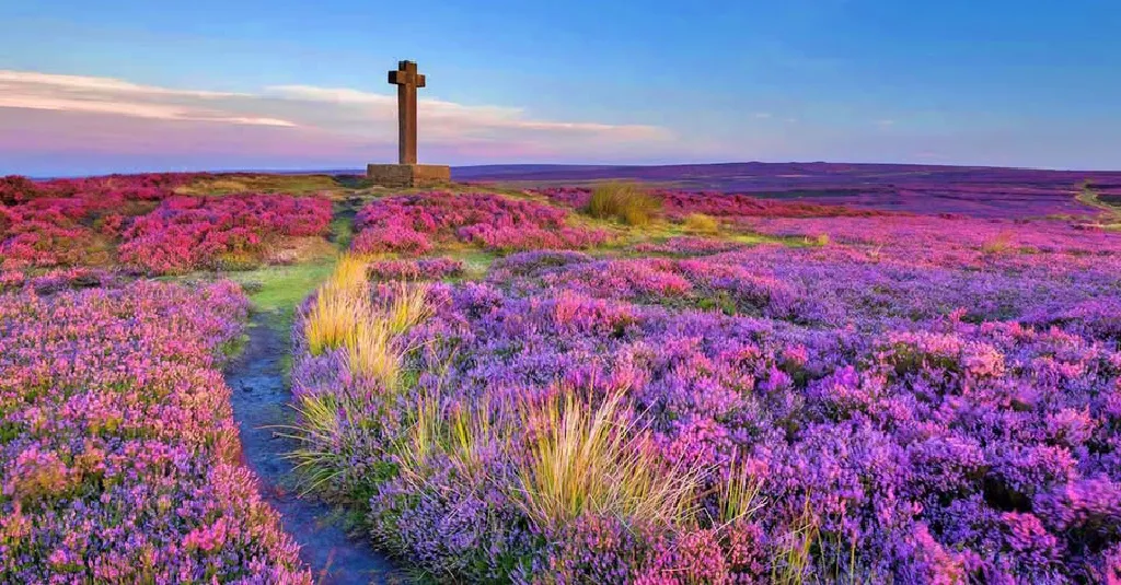 Północna Anglia – wyprawa do York i Parku Narodowego North York Moors
