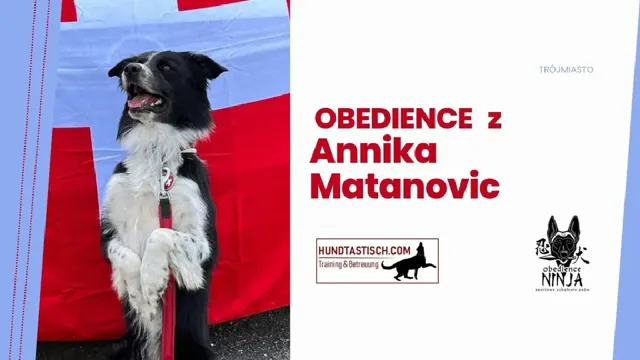 Seminarium obedience z Annika Matanovic