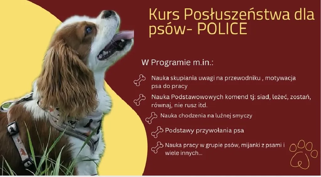 Kurs Podstawowego Posłuszeństwa Psów – Police