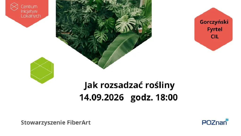 Jak rozsadzać rośliny – warsztaty