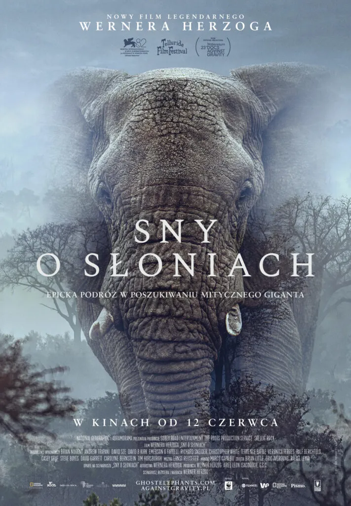 Sny o słoniach – seans filmowy