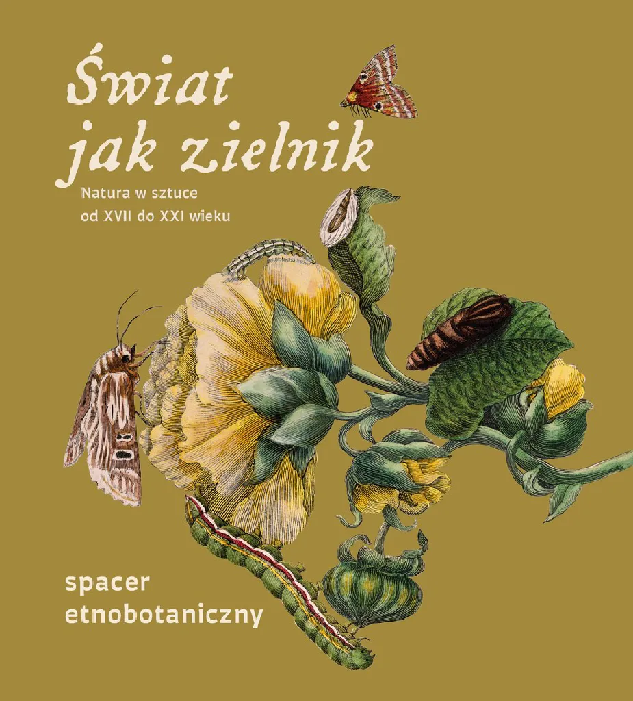 Wędrówki roślin – spacer etnobotaniczny dla rodzin