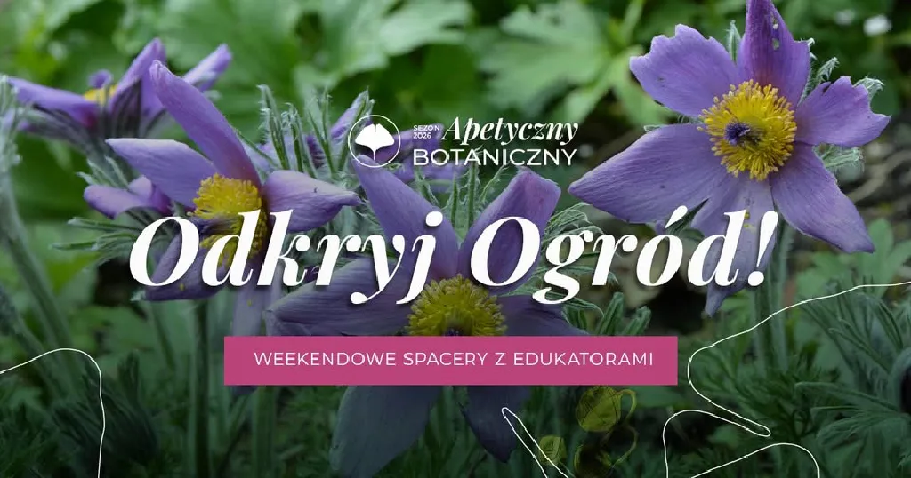 Spacery edukacyjne w Ogrodzie Botanicznym UW