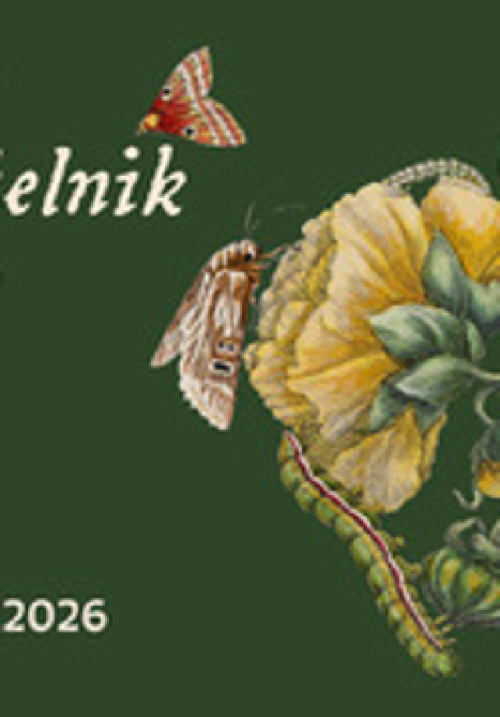 Świat jak zielnik. Natura w sztuce od XVII do XXI wieku – zwiedzanie