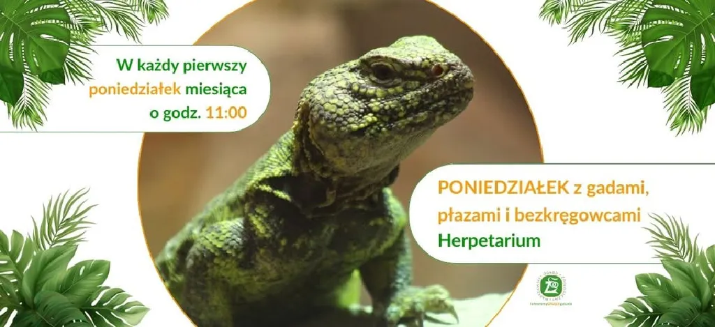 Poniedziałek z gadami, płazami i bezkręgowcami