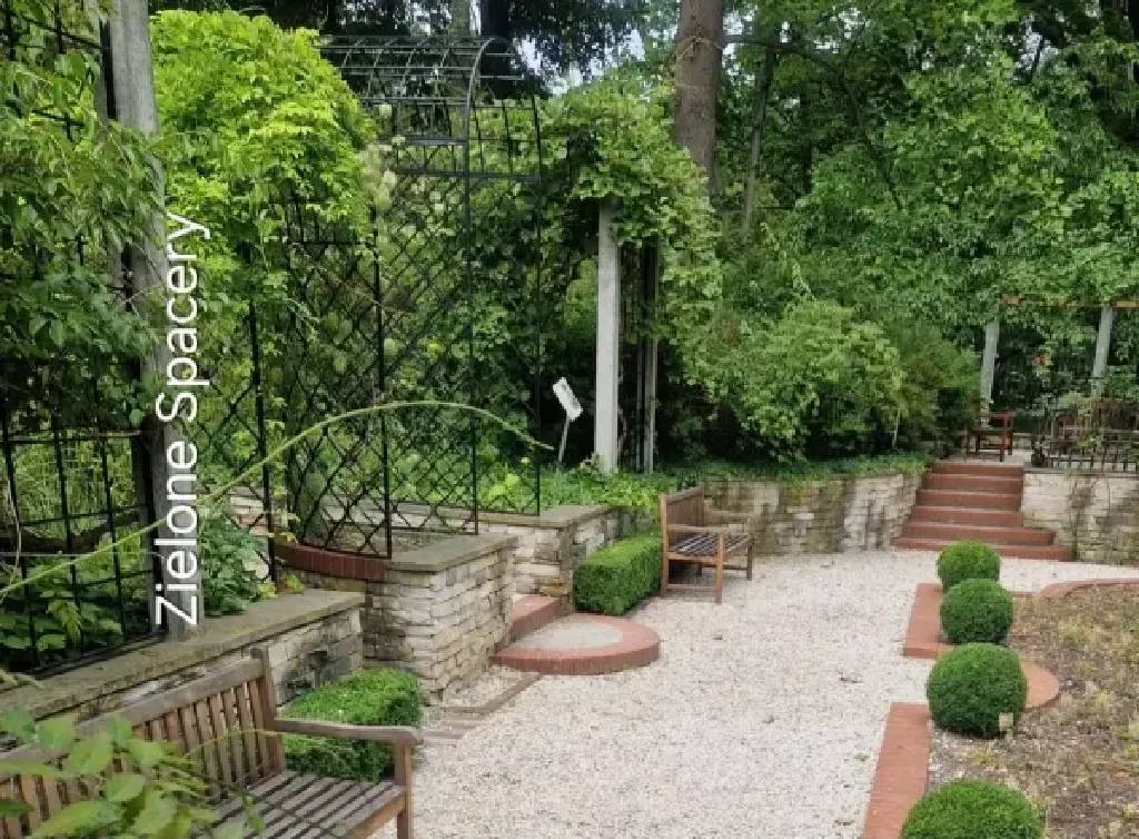 Ogród Botaniczny UW – spacer edukacyjny