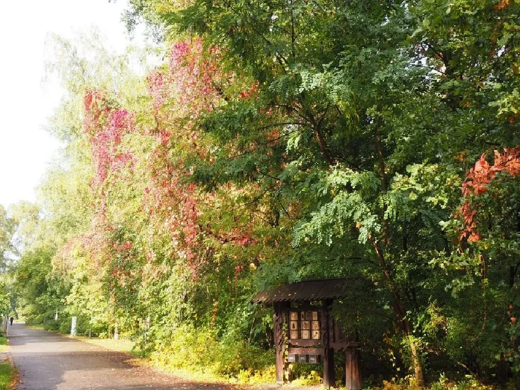 Przyrodnicze spacery po Ogrodzie Botanicznym