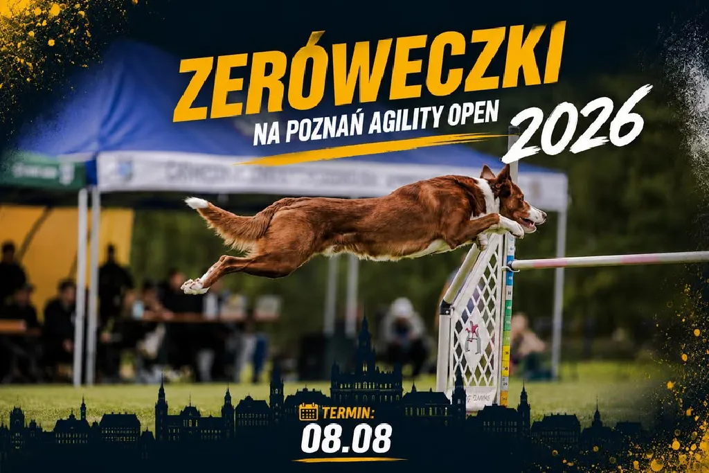 Zeróweczki na Poznań Agility Open 2026