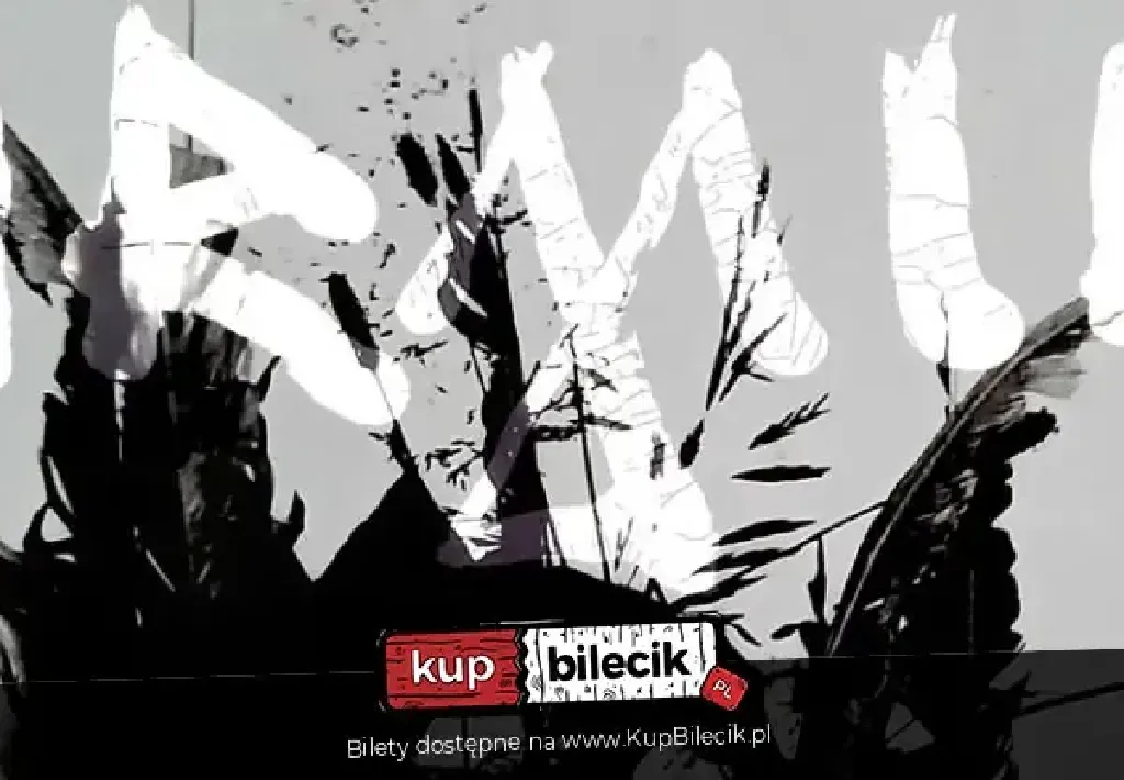 Armia – Koncert Wojna i pokój
