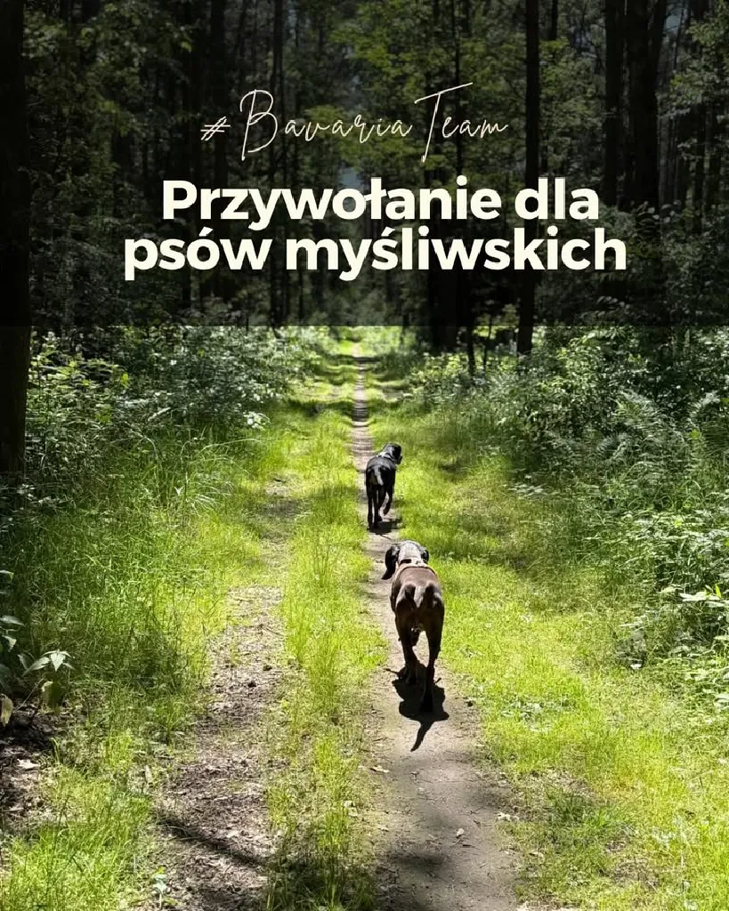 Przywołanie dla opornych psów myśliwskich – warsztaty