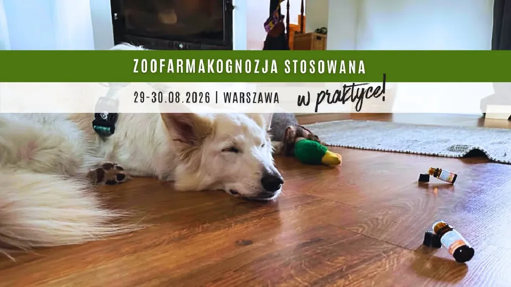 Zoofarmakognozja stosowana – warsztaty dla opiekunów psów
