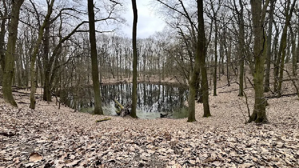 Rezerwat Przyrody Meteoryt Morasko