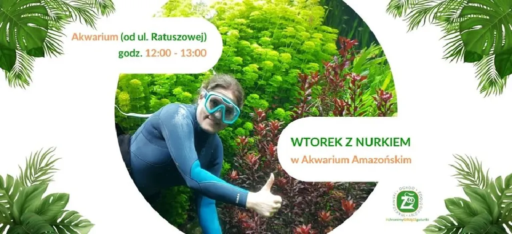 Wtorek z nurkiem w Akwarium Amazońskim