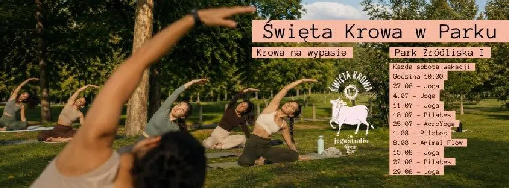 Krowa na wypasie – joga i pilates w parku