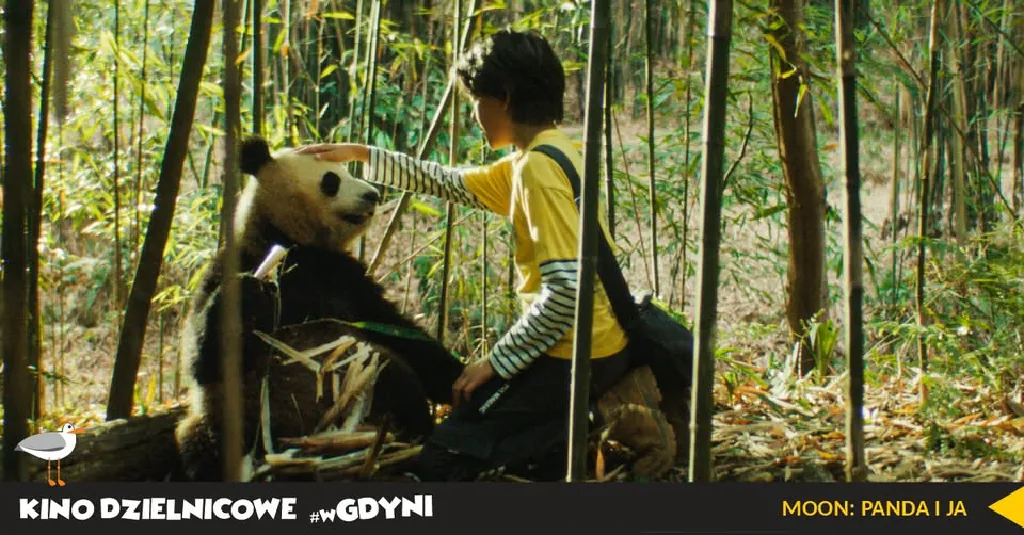 Moon: Panda i Ja – kino plenerowe na Chwarznie-Wiczlinie