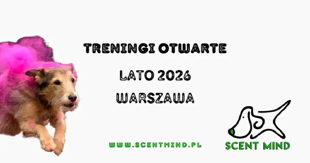Letnie otwarte treningi tropienia